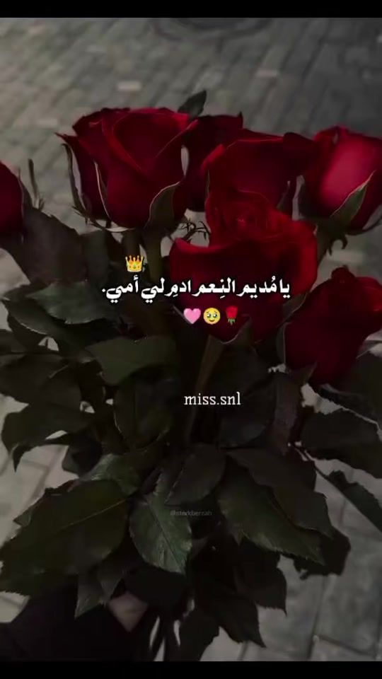 TikTok video thumbnail by miss.sn1