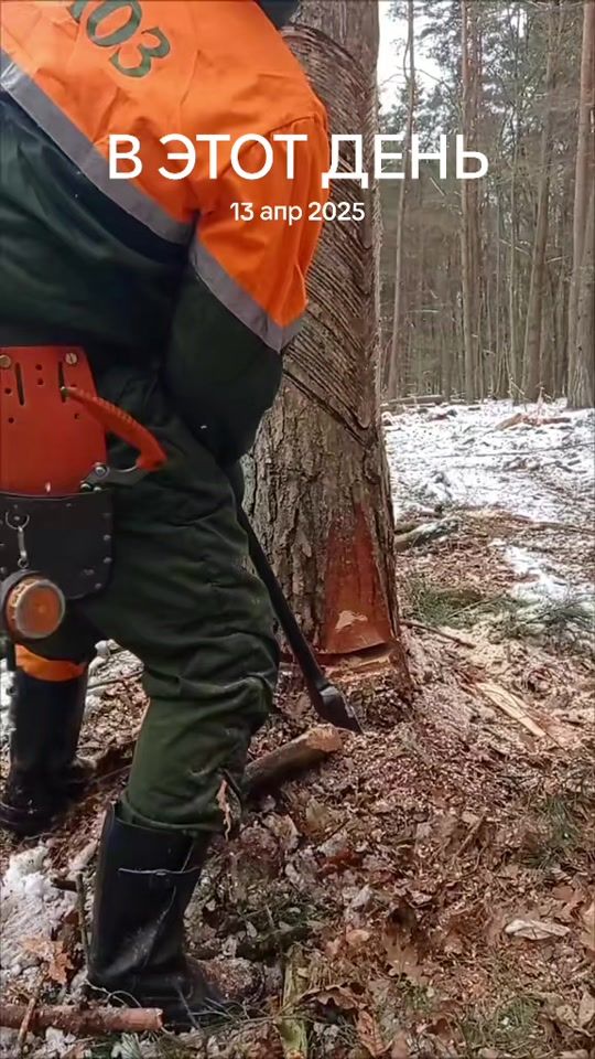 TikTok video thumbnail by sasha88650