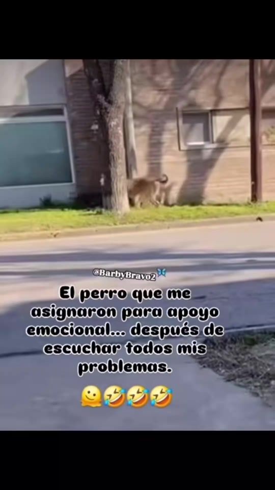 TikTok video thumbnail by luisinho296