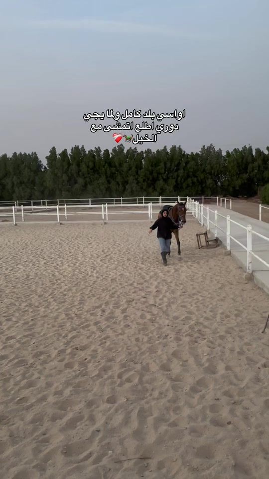 TikTok video thumbnail by z258y