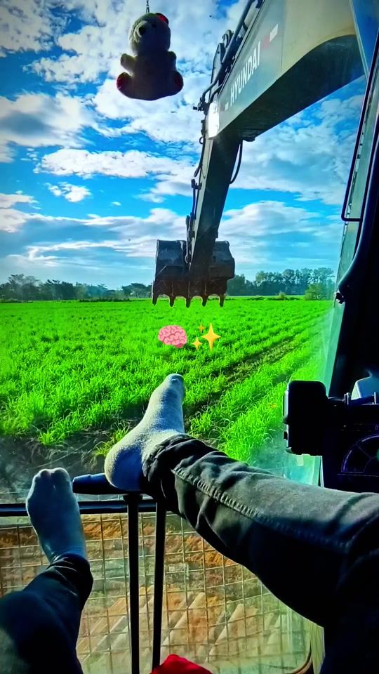 TikTok video thumbnail by elcanche371