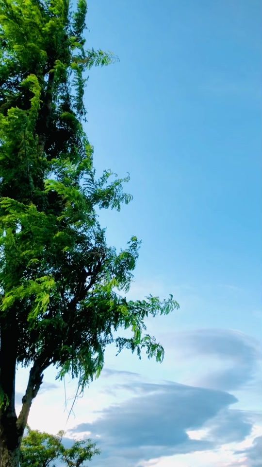 TikTok video thumbnail by 12punamranamagar