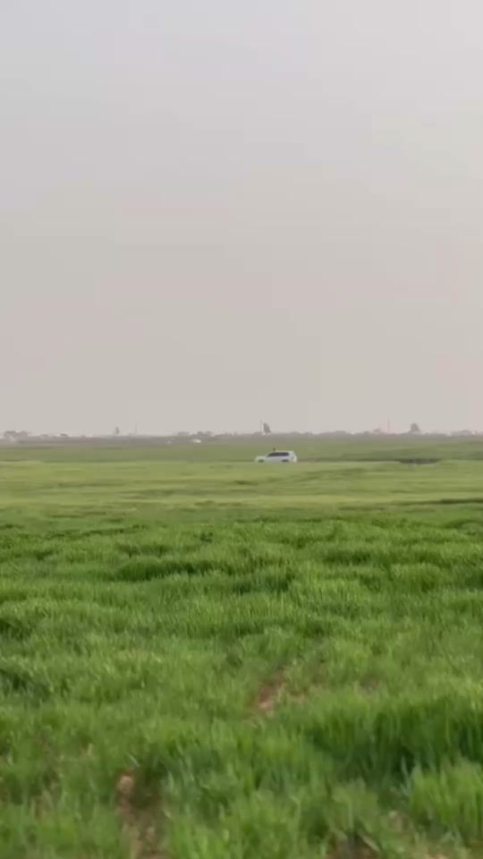 TikTok video thumbnail by altarm4