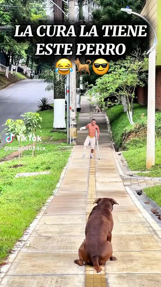 TikTok video thumbnail by erickajuarez355