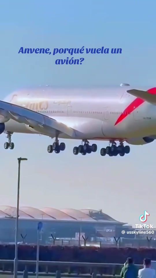 TikTok video thumbnail by capipromax5