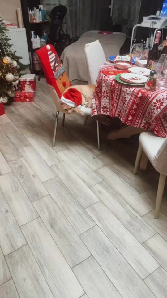 TikTok video thumbnail by nettakevsegi