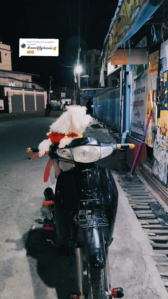 TikTok video thumbnail by .ye.yint1500