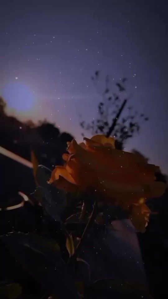 TikTok video thumbnail by washingthon.avm