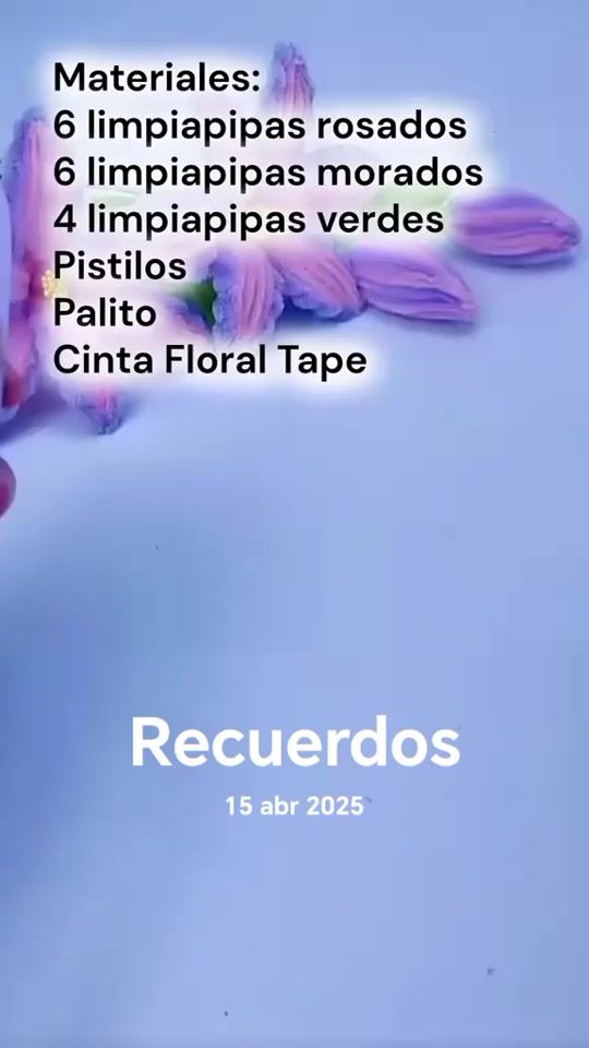 TikTok video thumbnail by emprendeconfloreseternas