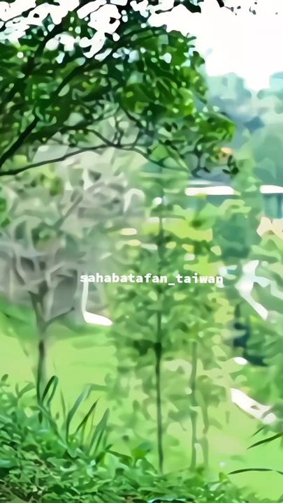 TikTok video thumbnail by ossah16