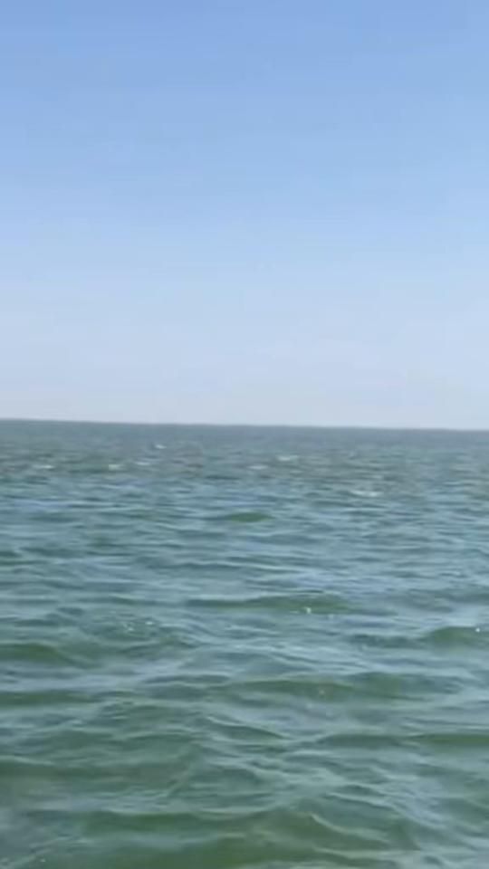 TikTok video thumbnail by lyon3959