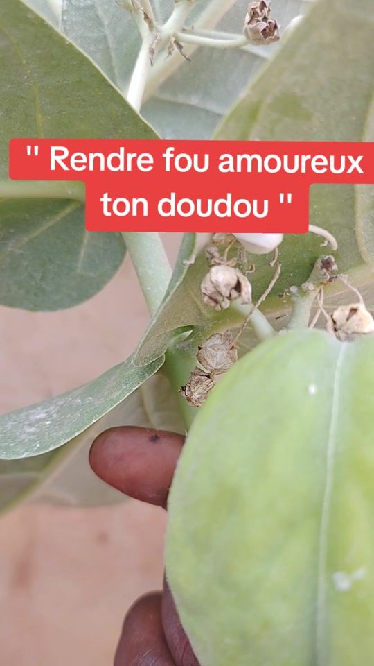 TikTok video thumbnail by sant.avant.tout