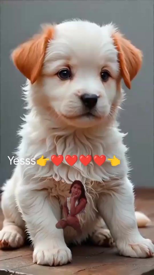 TikTok video thumbnail by bettynellitapulli