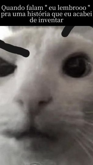 TikTok video thumbnail by vdeoshowbr