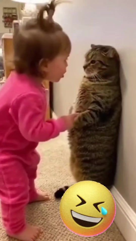 TikTok video thumbnail by tik_tok_com40