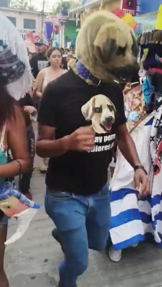 TikTok video thumbnail by perrocarnavalero