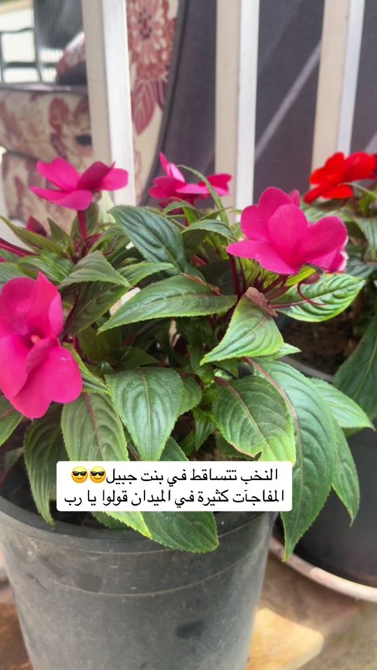 TikTok video thumbnail by houdawadaa