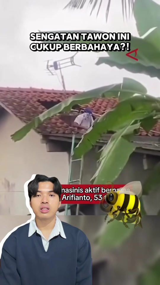 TikTok video thumbnail by ekidarehanf