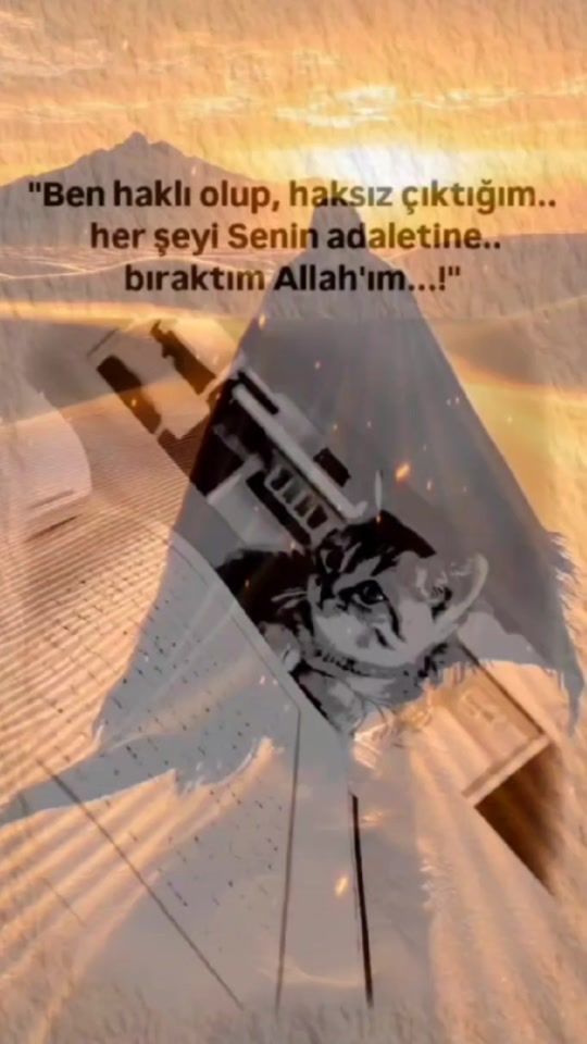 TikTok video thumbnail by elif_gibi_