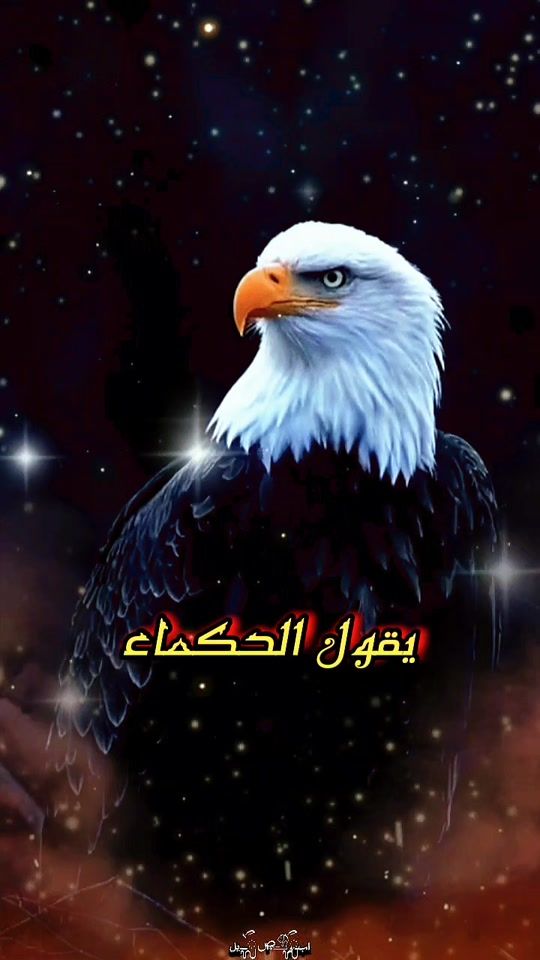 TikTok video thumbnail by abo.asile