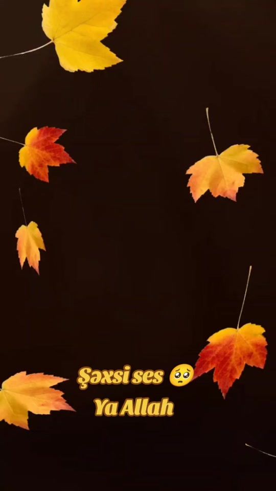 TikTok video thumbnail by besitim
