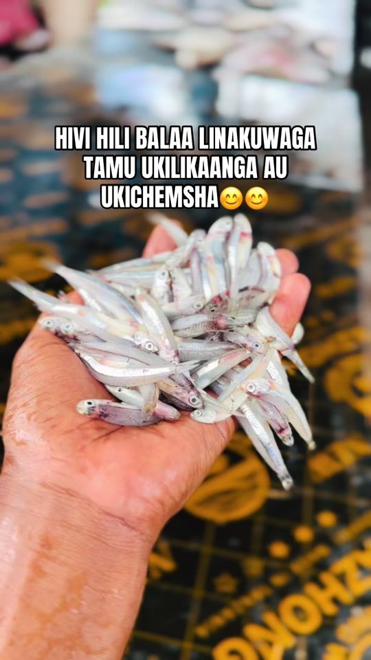 TikTok video thumbnail by saliim____
