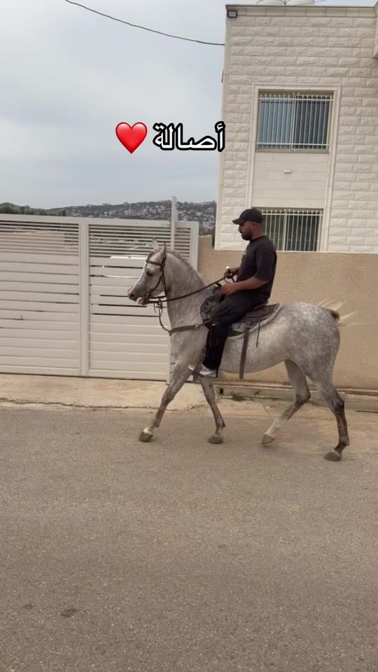 TikTok video thumbnail by hamoodwhamdan