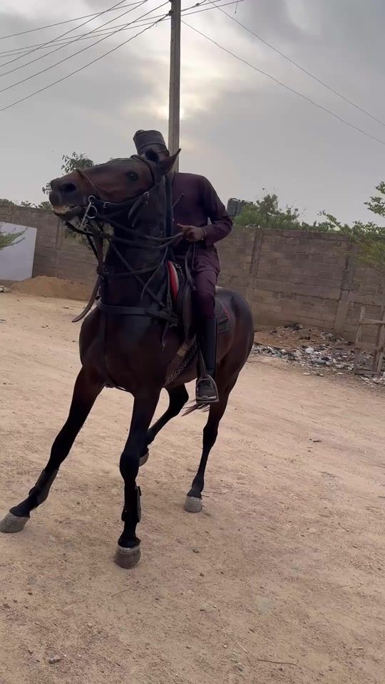 TikTok video thumbnail by usman__germany