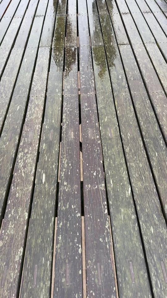 TikTok video thumbnail by rainbirdizzy