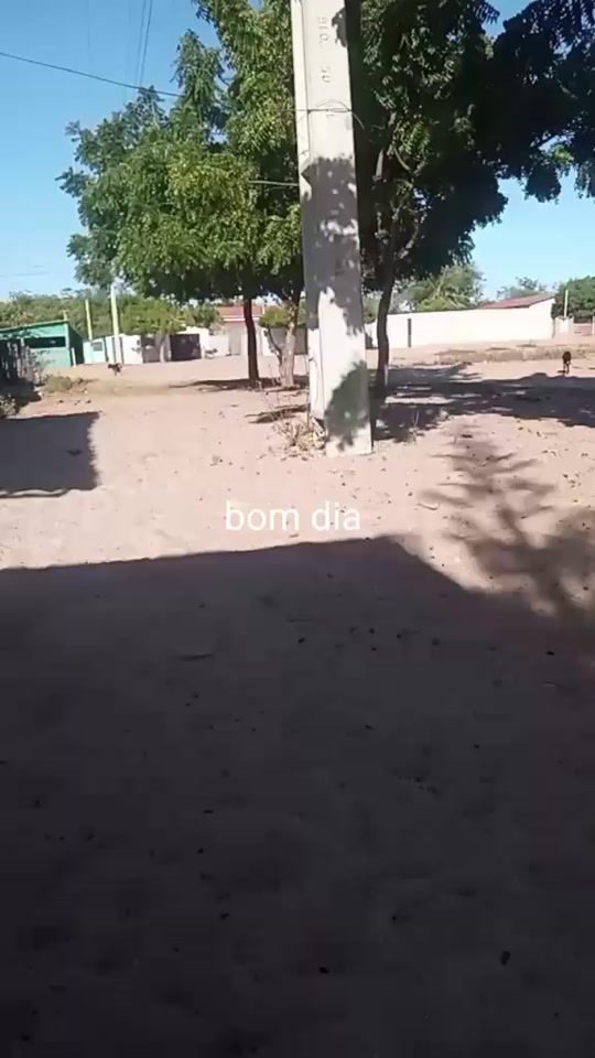 TikTok video thumbnail by wendelveloso5