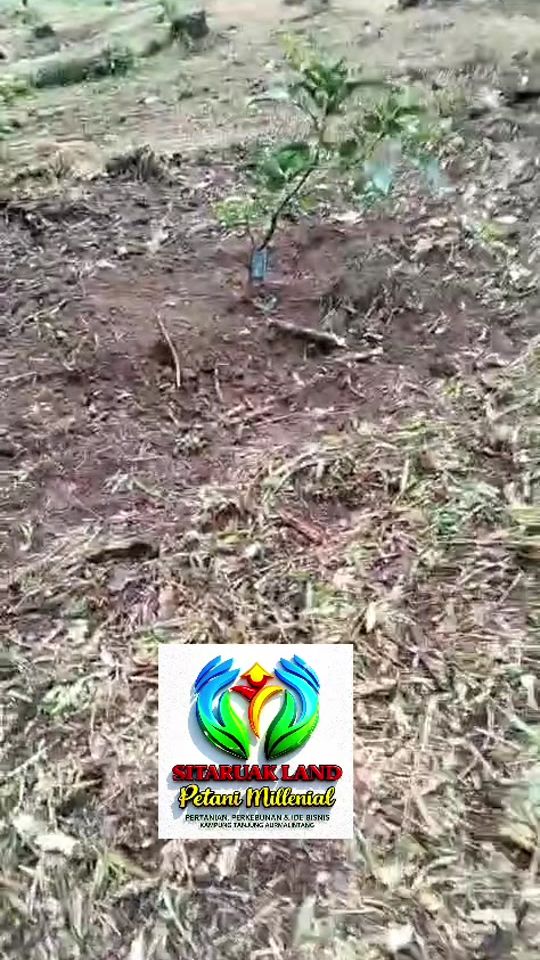 TikTok video thumbnail by df.febrian