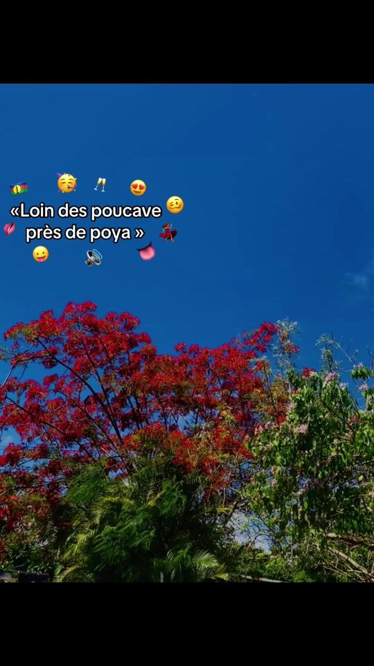 TikTok video thumbnail by user_tm461