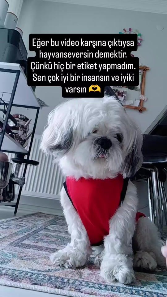 TikTok video thumbnail by sonbahar488