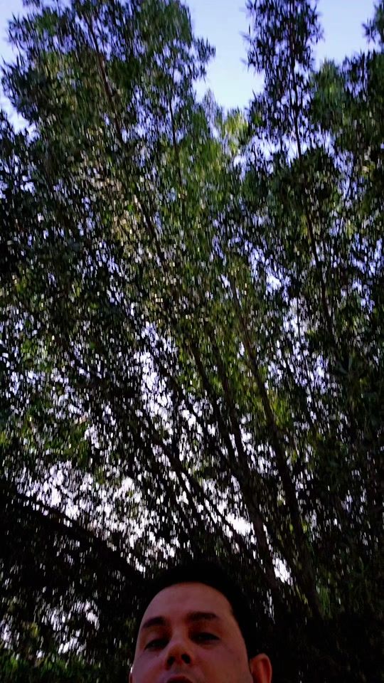 TikTok video thumbnail by alam.alam244