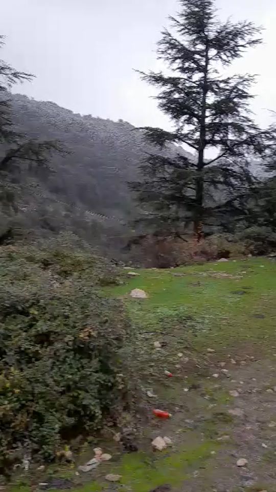 TikTok video thumbnail by nina84522
