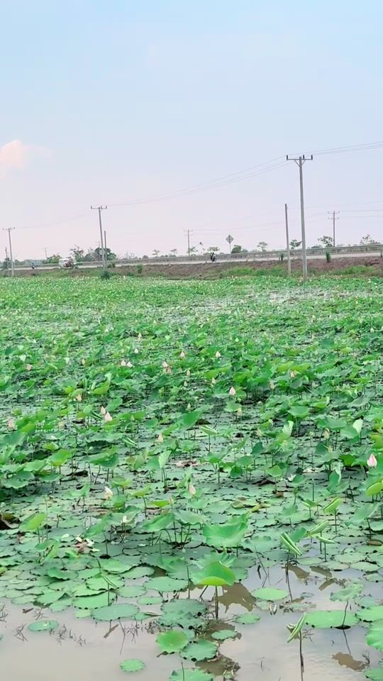 TikTok video thumbnail by ouchsaravuth7788