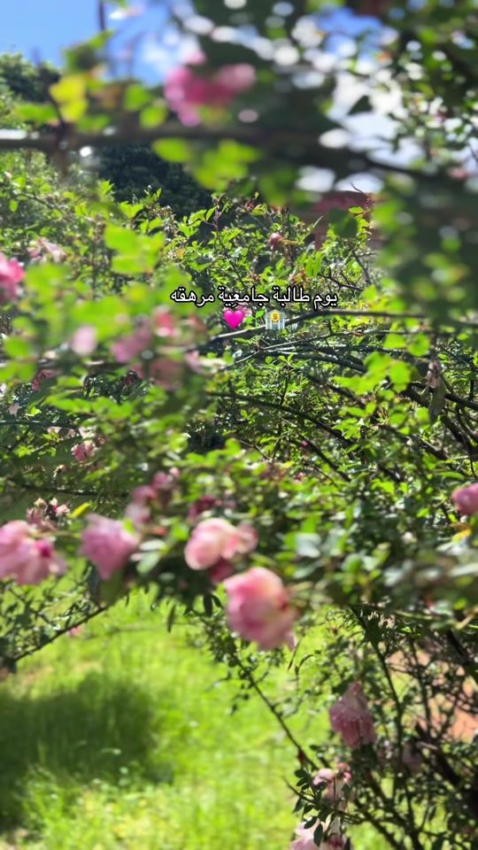 TikTok video thumbnail by mar04.r