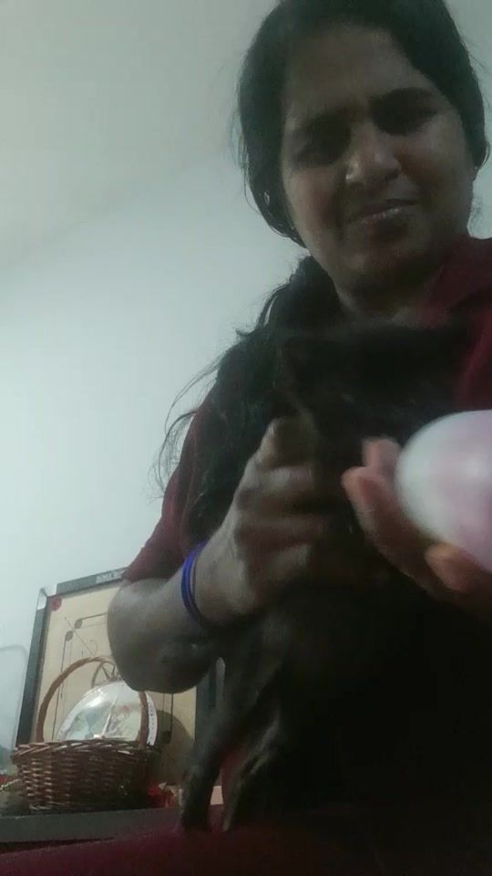 TikTok video thumbnail by pkmp37