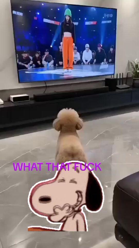 TikTok video thumbnail by raymon5632