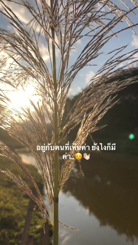 TikTok video thumbnail by tsim59