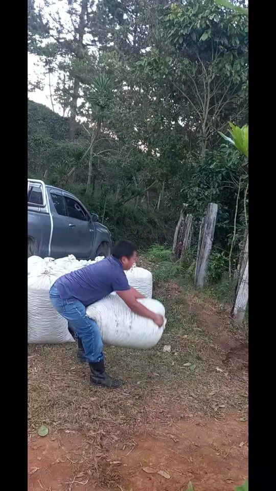 TikTok video thumbnail by chavezevin
