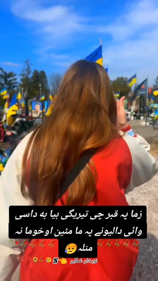 TikTok video thumbnail by bakhtmunir9135