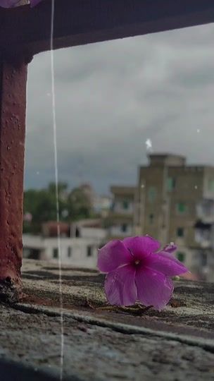 TikTok video thumbnail by fahmida0907