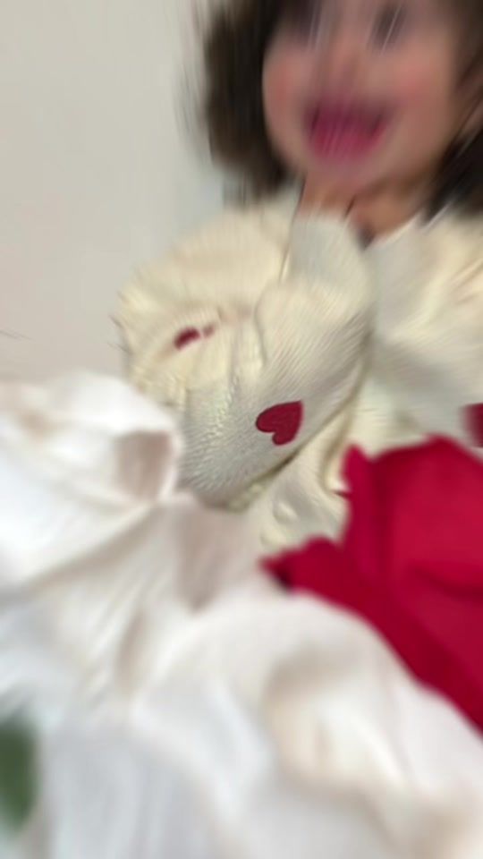 TikTok video thumbnail by boustany1