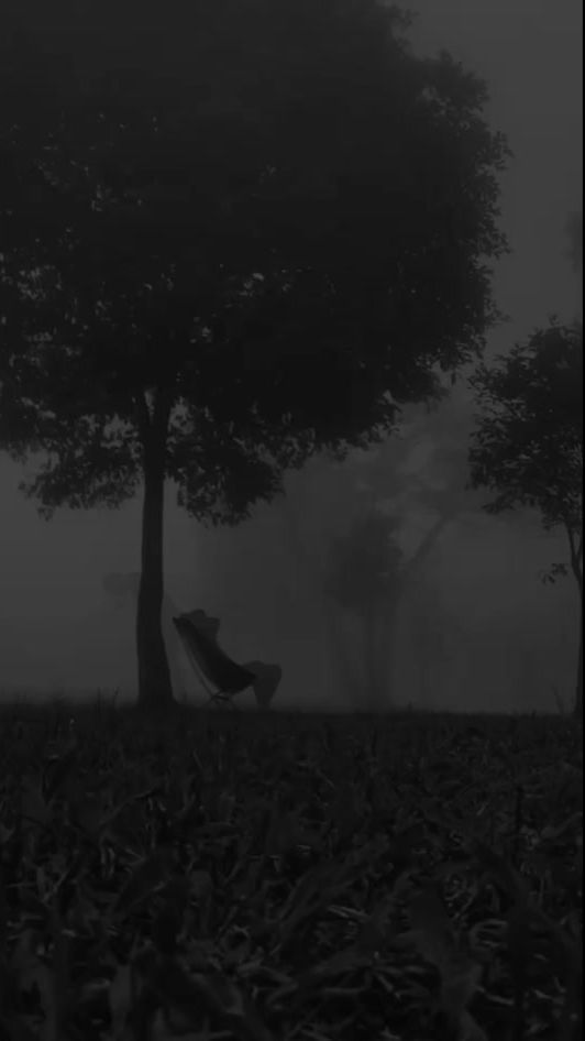 TikTok video thumbnail by hama_law__
