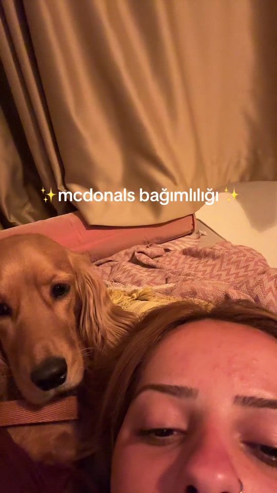 TikTok video thumbnail by inpurgatorry