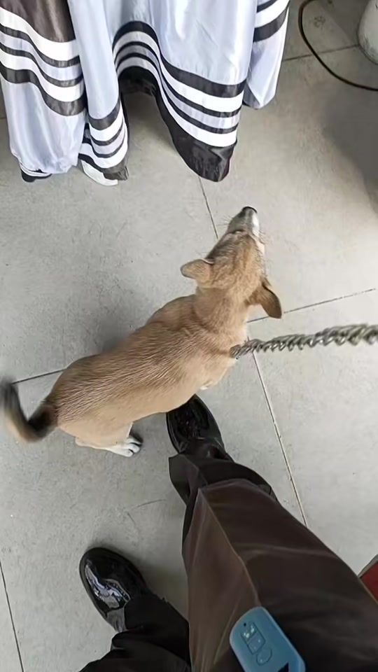 TikTok video thumbnail by ray.jarun37