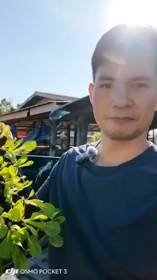 TikTok video thumbnail by bas_b007