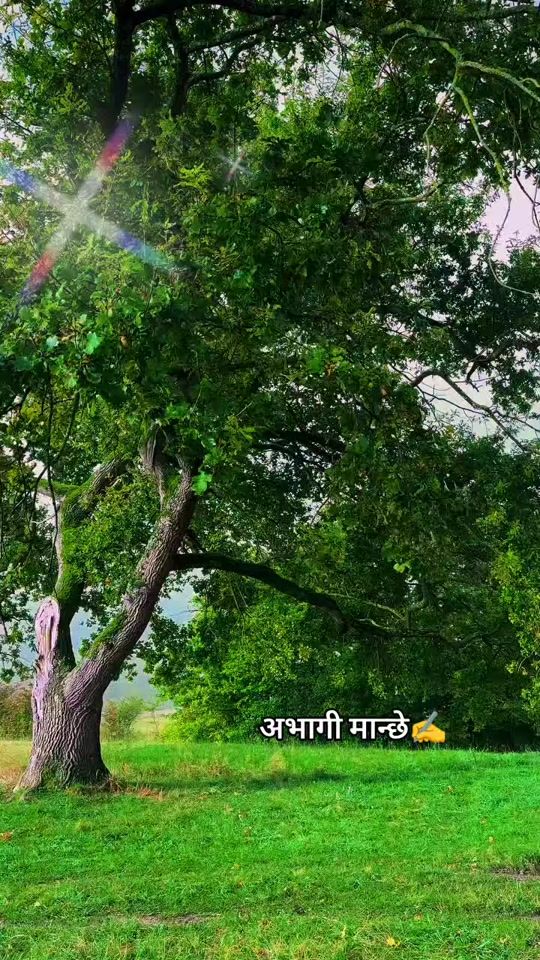 TikTok video thumbnail by mayakosagarma