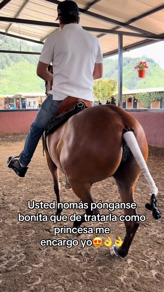 TikTok video thumbnail by st_caballos12